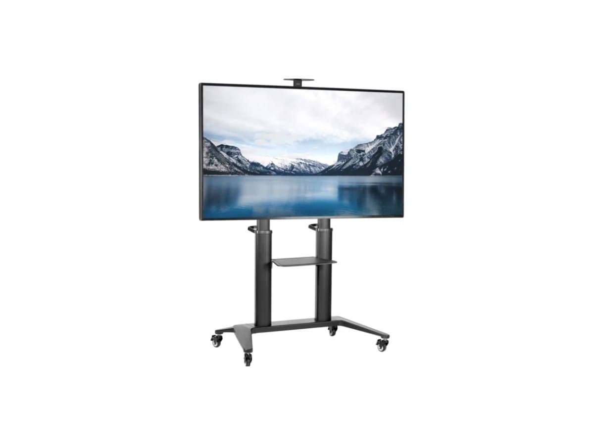 The 75 inch TV on its rolling cart stand